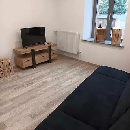 Des Sagards Apartment Saint-Michel-sur-Meurthe