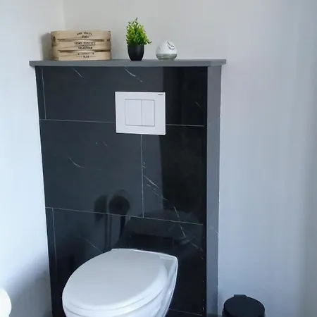 Des Sagards Διαμέρισμα Saint-Michel-sur-Meurthe